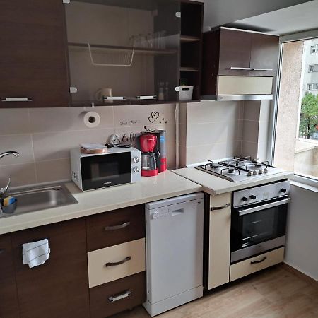דירות בוקרשט Apartament Titulescu/Banu Manta מראה חיצוני תמונה